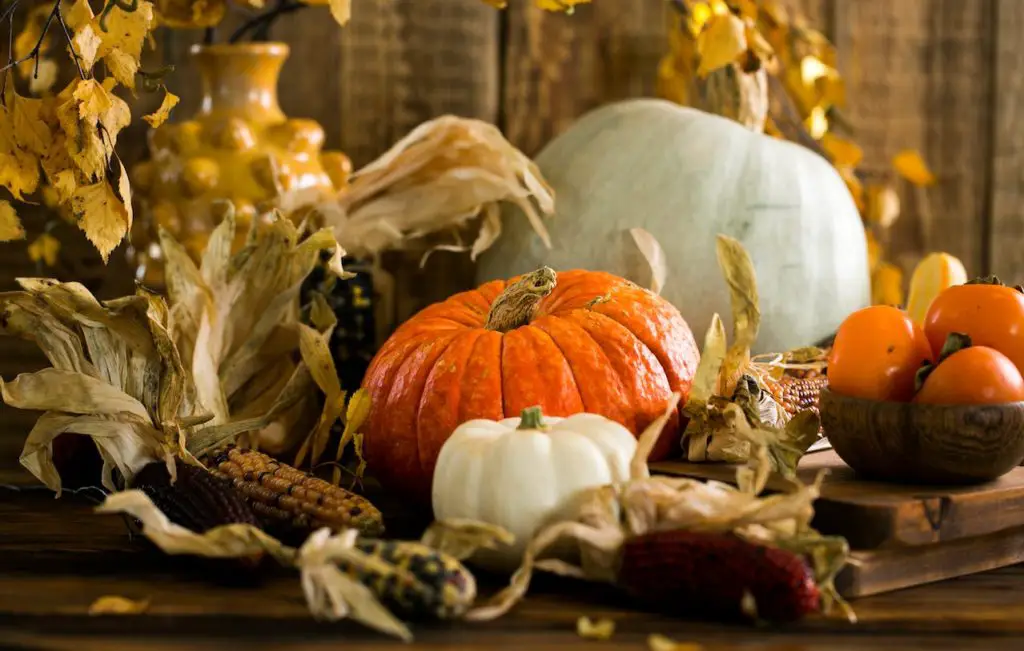 booby trap of filling pumpkins with concrete