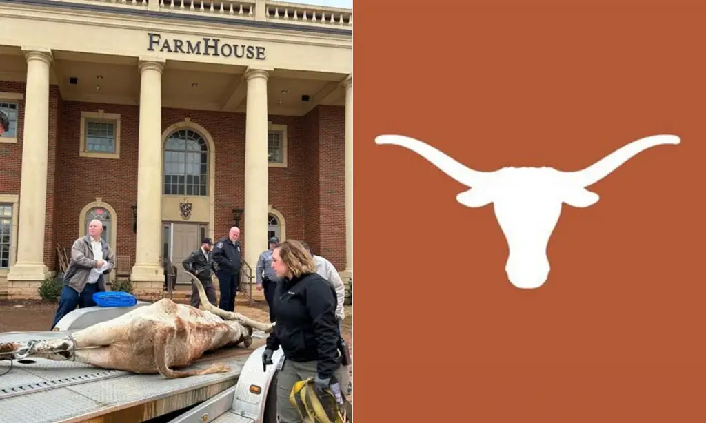 a deceased longhorn was found on the FarmHouse's front lawn