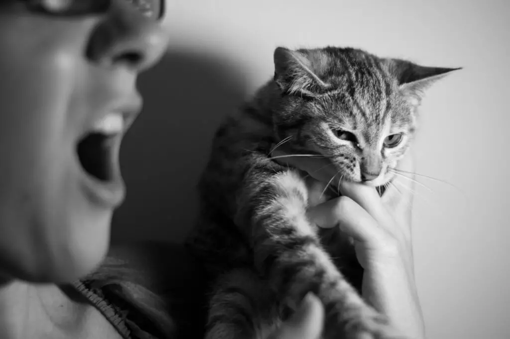 cat biting a woman's finger