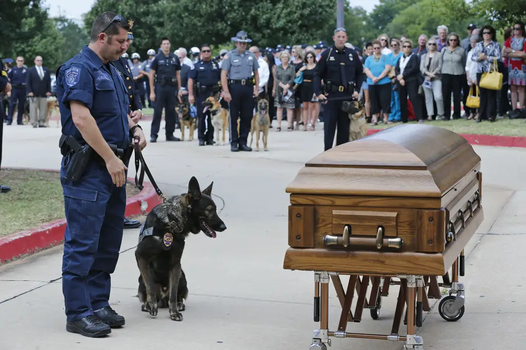 Due to the death of the police dog, Kansas is about to toughen its penalties for killing police animals.