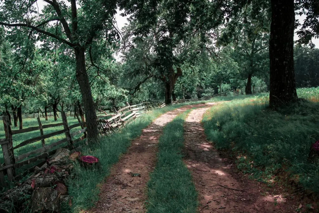 Rural one-way roads often confuse drivers because they allow traffic in both directions but only allow traffic in one direction at a given time